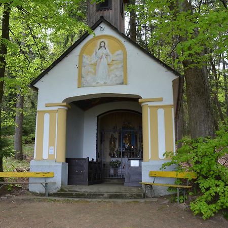 Вілла Weingut Seiner Vlg. Kraxner Greisdorf Екстер'єр фото