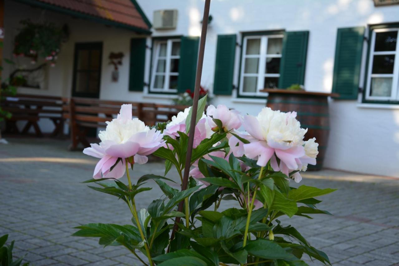 Вілла Weingut Seiner Vlg. Kraxner Greisdorf Екстер'єр фото
