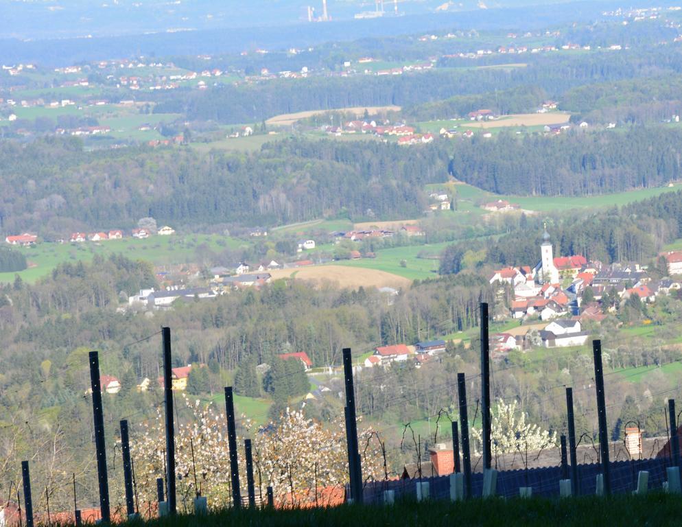Вілла Weingut Seiner Vlg. Kraxner Greisdorf Екстер'єр фото