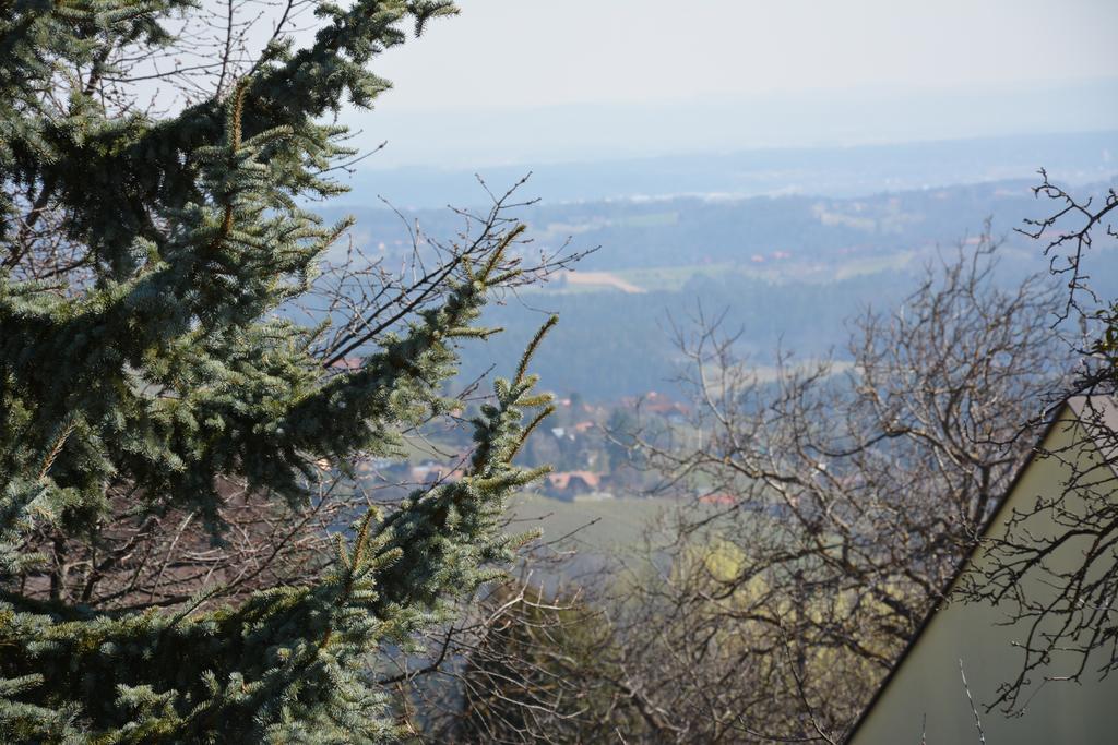 Вілла Weingut Seiner Vlg. Kraxner Greisdorf Екстер'єр фото